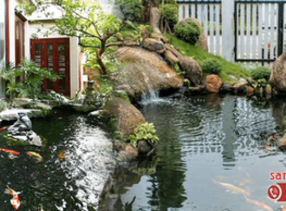 Mách Bạn Địa Chỉ Thiết Kế Hồ Cá Koi Chuyên Nghiệp Nhất Tại Tphcm