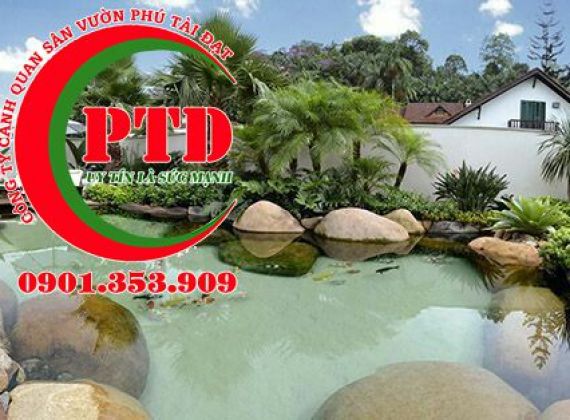 Thi công hồ cá koi TPHCM chuyên nghiệp giá tốt