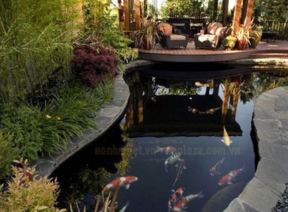 Tiêu Chí Chọn Đơn Vị Thi Công Hồ Cá Koi Chất Lượng