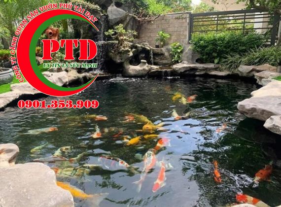 ĐỊA CHỈ CHUYÊN THIẾT KẾ THI CÔNG HỒ CÁ KOI NGOÀI TRỜI