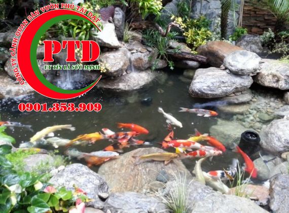 ĐỊA CHỈ SỬA CHỮA HỒ CÁ KOI BỊ THẤM CHUYÊN NGHIỆP