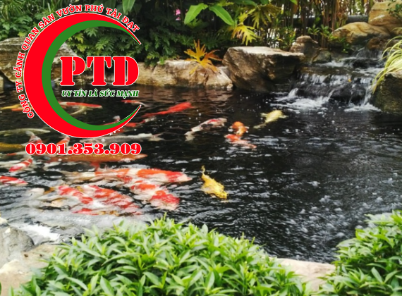 Vệ sinh hồ cá koi bao nhiêu tiền tham khảo báo giá
