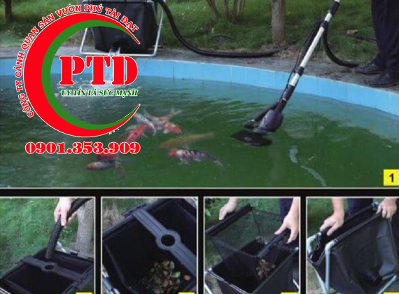 Vệ sinh hồ cá koi chuyên nghiệp đảm bảo chất lượng