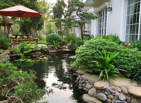 Mẫu hồ cá koi phong thủy đẹp giúp gia chủ hóa 