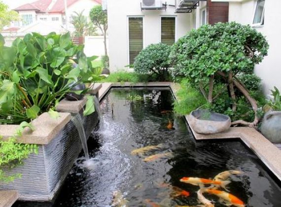 Phú Tài Đạt cung cấp dịch vụ thi công hồ cá koi giá rẻ