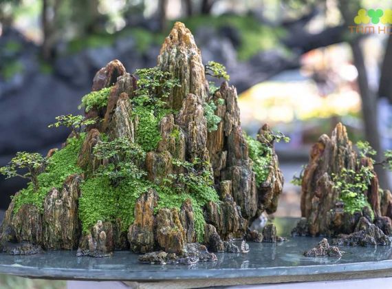 Dịch vụ thi công hòn non bộ trọn gói, giá tốt | Phú Tài Đạt