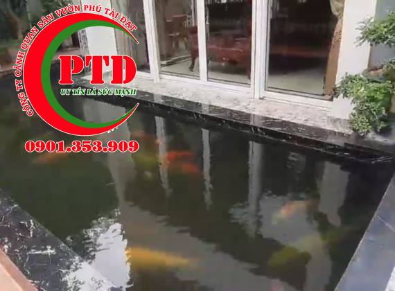 Giải pháp xử lý nước hồ cá koi bị đục triệt để