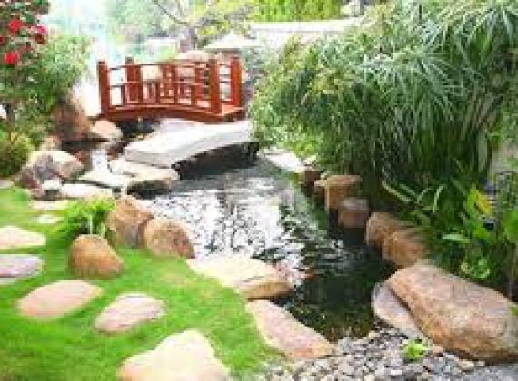 Thi công hồ cá koi quận 11 hợp xu hướng nhất hiện nay