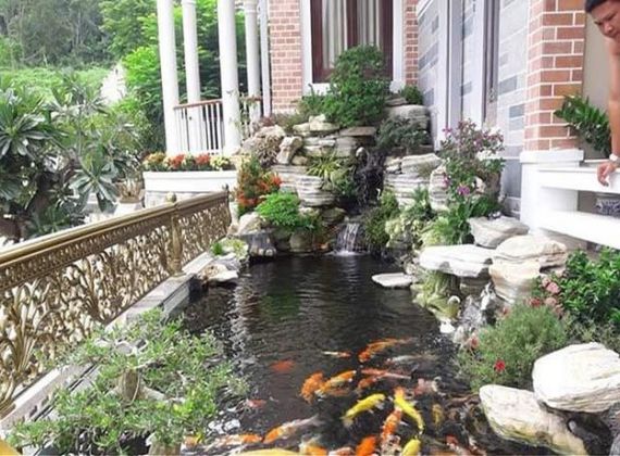 Khám phá đơn vị chuyên thi công hồ cá koi sân vườn đẹp