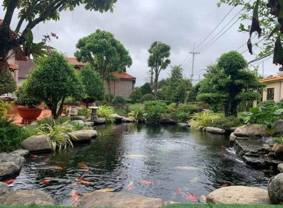 Quy trình thi công hồ cá koi chuyên nghiệp của Phú Tài Đạt