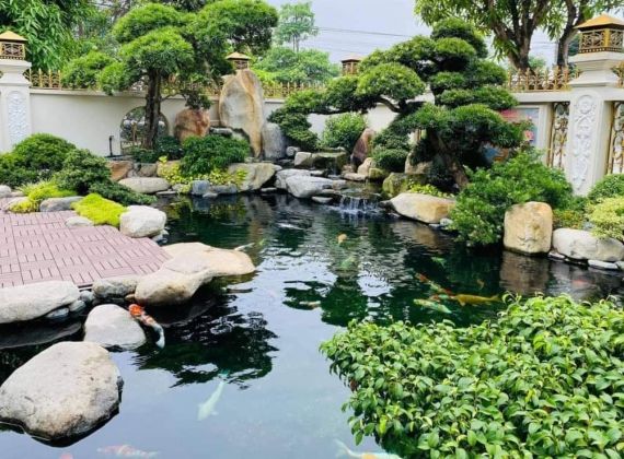 Gợi ý bạn cơ sở thiết kế thi công hòn non bộ chất lượng số 1 hiện nay