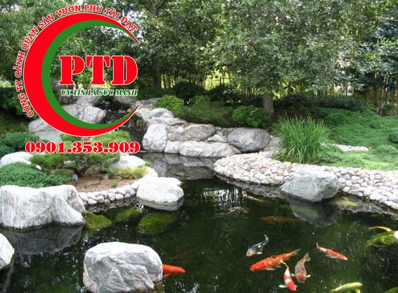 Hướng dẫn quy trình vệ sinh hồ cá Koi A-Z (Hút cặn, Lọc, Thay nước)