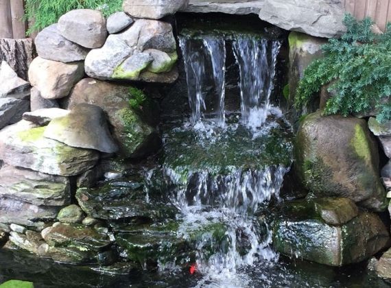 Khám phá công ty thi công hòn non bộ thác nước nhiều kinh nghiệm