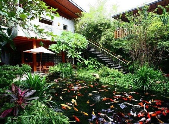 Có nên thiết kế hồ cá koi cho quán cafe không