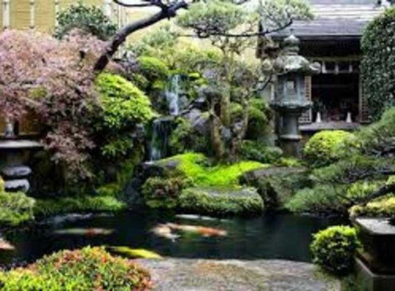 Đơn vị nhận thiết kế hồ cá koi theo yêu cầu | Giá rẻ - chất lượng cao