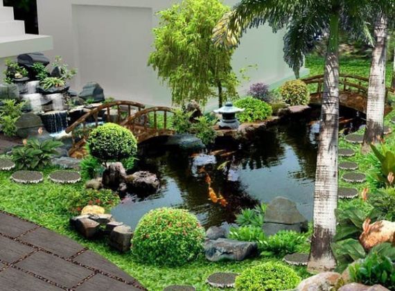 Những điều cần lưu ý khi xây hồ cá Koi đơn giản