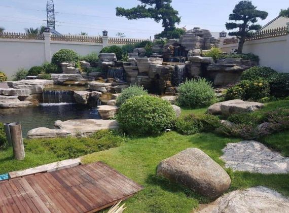 Đừng bỏ lỡ địa chỉ thiết kế hồ cá koi chất lượng, chuyên nghiệp