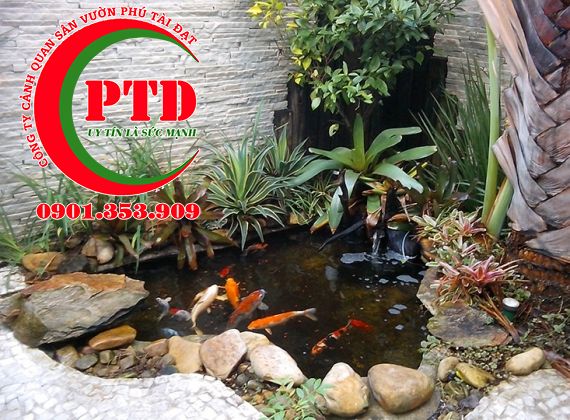 Hướng dẫn bảo dưỡng hồ cá Koi định kỳ (Tuần, Tháng, Quý) chi tiết