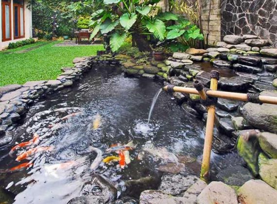 Sốt sình sịt với những mẫu hồ cá koi đẹp quên lối về