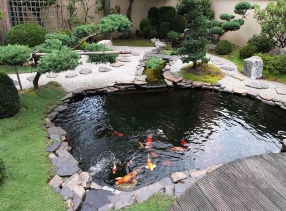 Top đơn vị thi công hòn non bộ đơn giản đẹp nhưng chất lượng