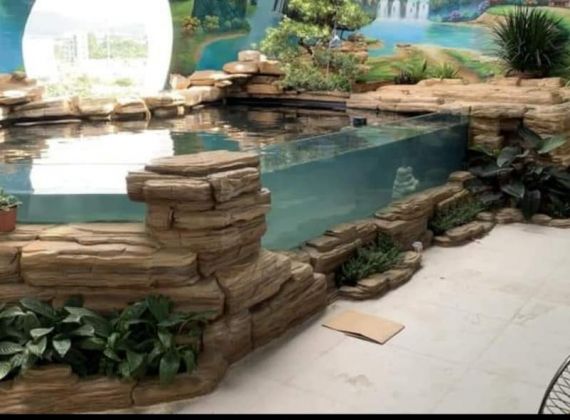 Dịch vụ thiết kế hồ cá koi hiện đại theo yêu cầu giá tốt, chuyên nghiệp