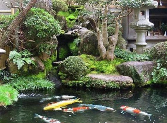 Phú Tài Đạt Chuyên Tư Vấn Thi Công Hồ Cá Koi Bình Chánh