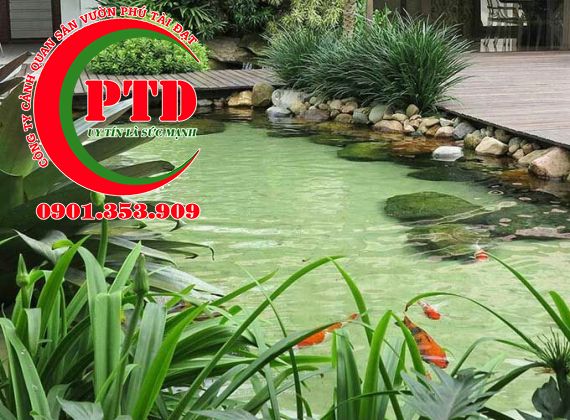  Dịch Vụ Thiết Kế Thi Công Hồ Cá Koi Trọn Gói Giá Rẻ Tại Tphcm