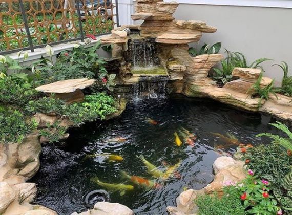 Kinh nghiệm thiết kế hồ cá Koi mini