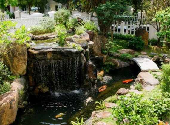 Xu hướng thiết kế hồ cá koi theo phong cách hiện đại, độc đáo nhất