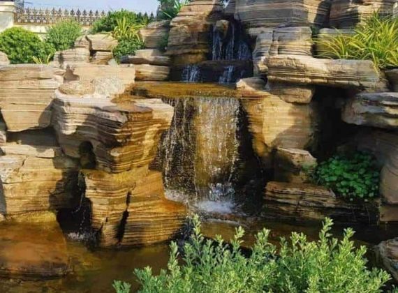 Gợi ý địa chỉ nhận thi công hồ cá koi tốt nhất TPHCM uy tín