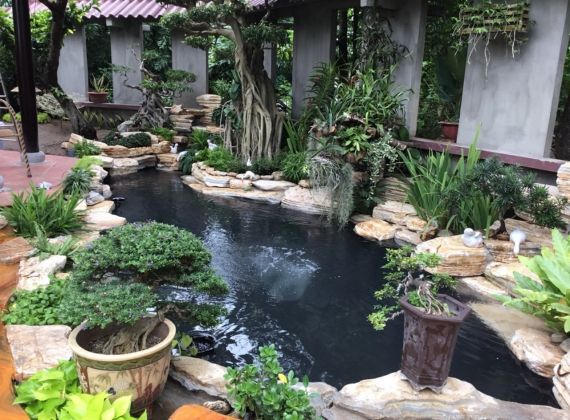 Đừng bỏ lỡ cơ sở chuyên làm hòn non bộ hồ cá Koi đẹp lạ