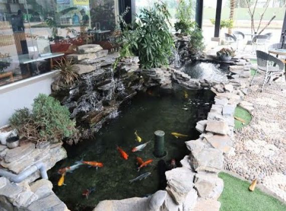 Những lợi ích tuyệt vời khi thiết kế hồ cá koi ngoài trời đẹ