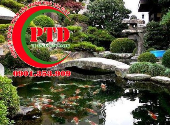 Địa chỉ thi công hồ cá koi Bình Chánh tuyệt đẹp