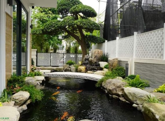 Xem ngay nơi thi công hồ cá Koi mini đẹp mắt ấn tượng số 1 hiện nay