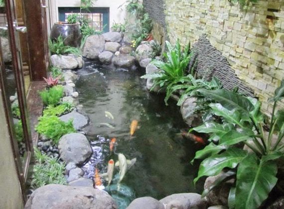 Bỏ túi ngay đơn vị chuyên thiết kế và thi công hồ cá koi đẹp ở TPHCM