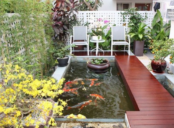 Mẫu hồ cá koi đẹp trong nhà được nhiều người ưa chuộng nhất hiện nay