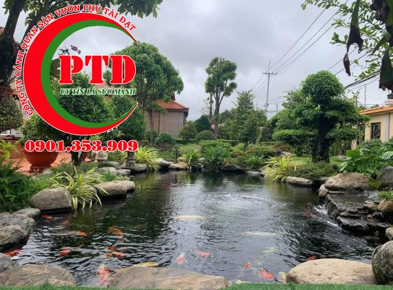 Cẩm Nang Thi Công Hồ Cá Koi Chuyên Nghiệp: Thiết Kế, Lọc & Phong Thủy