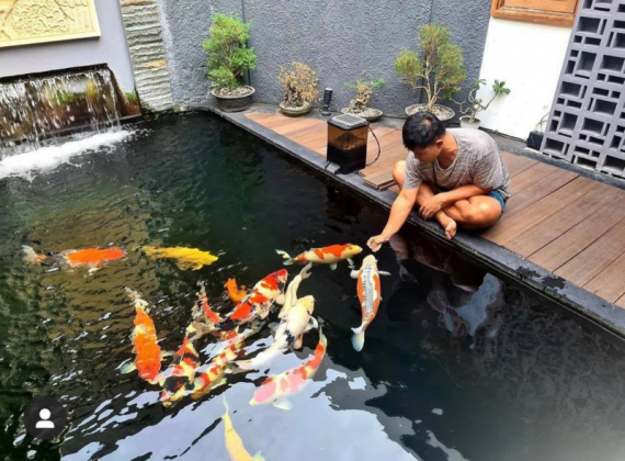 Dịch vụ vệ sinh hồ cá koi tại nhà TPHCM tận tâm