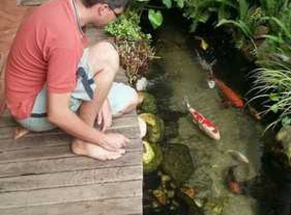 Tìm Hiểu Địa Chỉ Chuyên Thi Công Hồ Cá Koi Giá Tốt