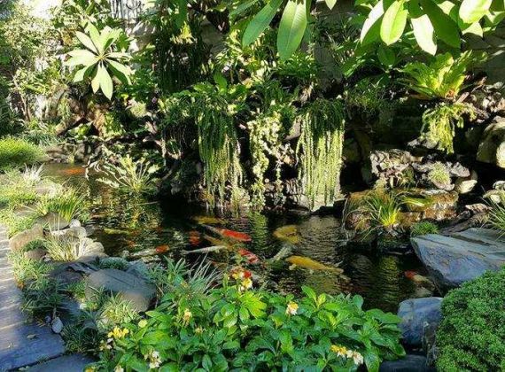 Phú Tài Đạt là nhà thiết kế hồ cá koi đẹp củ chi hợp phong thủy