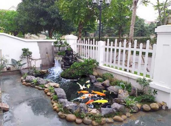 Tìm kiếm đơn vị thi công hồ cá koi Bình Chánh uy tín