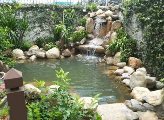 Đừng bỏ lỡ đơn vị thi công hòn non bộ cá koi Thủ Đức uy tín hàng đầu