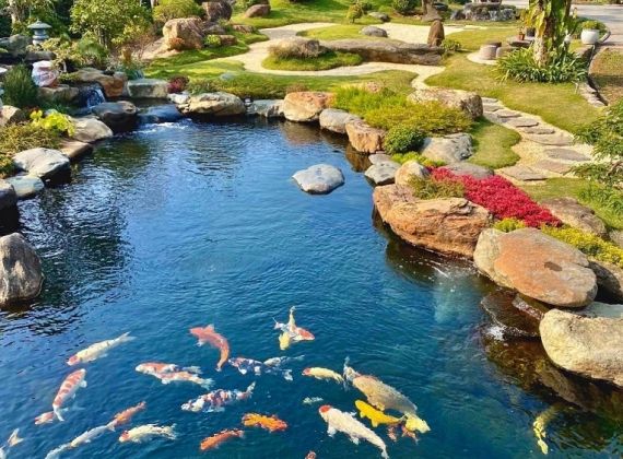 Đâu là địa chỉ chuyên giá thi công hòn non bộ ngoài trời