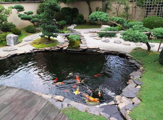 Đơn vị thi công hồ cá Koi nhanh chóng đúng chuẩn yêu cầu