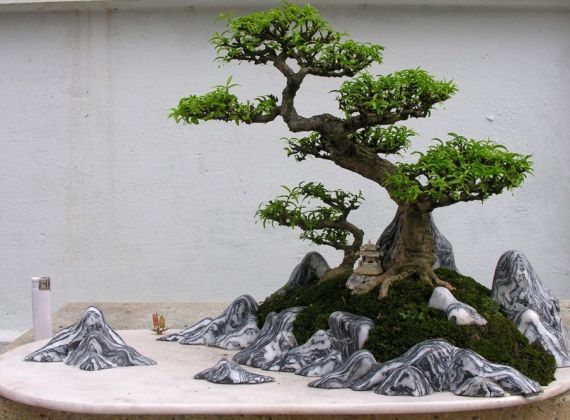 Thi công hòn non bộ mini trong nhà trang trí tết giá tốt