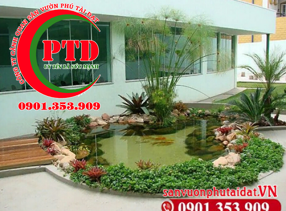 Đơn vị thiết kế thi công hồ cá koi uy tín nhất nhì Tphcm