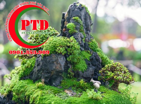 Hòn non bộ là gì và những điều cần biết