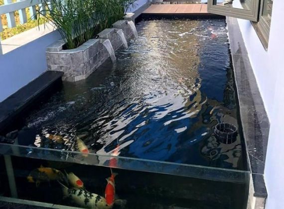 VAI TRÒ CỦA HỆ THỐNG LỌC NƯỚC CHO HỒ CÁ KOI