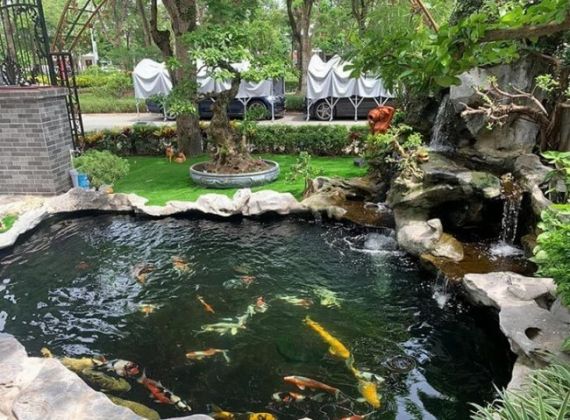 ĐƠN VỊ BÁO GIÁ CẢI TẠO HỒ CÁ KOI CHUYÊN NGHIỆP VÀ UY TÍN NHẤT