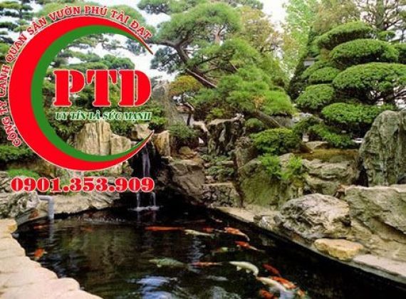 Công ty thi công thiết kế hồ cá Koi quận 3 chuyên nghiệp